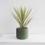 Pine Planter - 4"