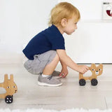 Bear Wooden Push Toy